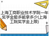 上海工商职业技术学院一年奖学金最多能拿多少(上海工院奖学金上限)