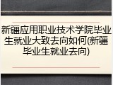 新疆应用职业技术学院毕业生就业大致去向如何(新疆毕业生就业去向)