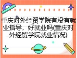 重庆对外经贸学院有没有就业指导，好就业吗(重庆对外经贸学院就业情况)