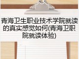 青海卫生职业技术学院就读的真实感觉如何(青海卫职院就读体验)