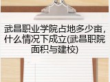 武昌职业学院占地多少亩，什么情况下成立(武昌职院面积与建校)