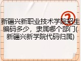 新疆兴新职业技术学院招生编码多少，隶属哪个部门(新疆兴新学院代码归属)