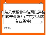 广东艺术职业学院可以进校后转专业吗？(广东艺职转专业条件)