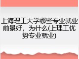 上海理工大学哪些专业就业前景好，为什么(上理工优势专业就业)