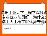 沈阳工业大学工程学院哪些专业就业前景好，为什么(沈工大工程学院优势专业)