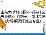 山东力明科技职业学院什么专业就业比较好，原因是啥(力明学院好就业专业)