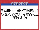 内蒙古化工职业学院有几个校区,有多少人(内蒙古化工学院规模)
