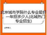 北京城市学院什么专业最好，一年招多少人(北城热门专业招生)