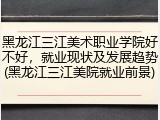 黑龙江三江美术职业学院好不好，就业现状及发展趋势(黑龙江三江美院就业前景)