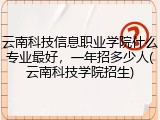 云南科技信息职业学院什么专业最好，一年招多少人(云南科技学院招生)