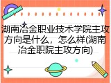 湖南冶金职业技术学院主攻方向是什么，怎么样(湖南冶金职院主攻方向)