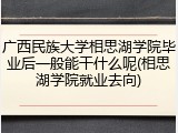 广西民族大学相思湖学院毕业后一般能干什么呢(相思湖学院就业去向)