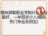 锡林郭勒职业学院什么专业最好，一年招多少人(锡院热门专业及招生)