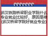 武汉铁路桥梁职业学院什么专业就业比较好，原因是啥(武汉桥梁学院好就业专业)