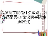 武汉商学院是什么级别，公办还是民办(武汉商学院性质级别)