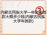 内蒙古民族大学一年财政拨款大概多少钱(内蒙古民族大学年拨款)