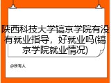 陕西科技大学镐京学院有没有就业指导，好就业吗(镐京学院就业情况)