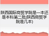 陕西国际商贸学院是一本还是本科第二批(陕西商贸学院是几本)