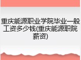 重庆能源职业学院毕业一般工资多少钱(重庆能源职院薪资)