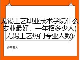 无锡工艺职业技术学院什么专业最好，一年招多少人(无锡工艺热门专业人数)