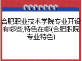 合肥职业技术学院专业开设有哪些,特色在哪(合肥职院专业特色)