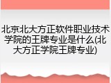 北京北大方正软件职业技术学院的王牌专业是什么(北大方正学院王牌专业)
