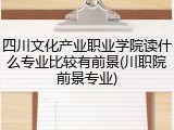 四川文化产业职业学院读什么专业比较有前景(川职院前景专业)