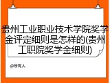 贵州工业职业技术学院奖学金评定细则是怎样的(贵州工职院奖学金细则)