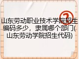 山东劳动职业技术学院招生编码多少，隶属哪个部门(山东劳动学院招生代码)