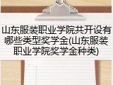 山东服装职业学院共开设有哪些类型奖学金(山东服装职业学院奖学金种类)