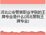 河北公安警察职业学院的王牌专业是什么(河北警院王牌专业)