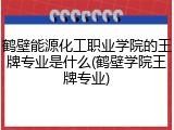 鹤壁能源化工职业学院的王牌专业是什么(鹤壁学院王牌专业)
