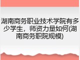 湖南商务职业技术学院有多少学生，师资力量如何(湖南商务职院规模)