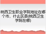 皖西卫生职业学院地址在哪个市，什么区县(皖西卫生学院在哪)