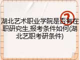 湖北艺术职业学院是否有在职研究生,报考条件如何(湖北艺职考研条件)