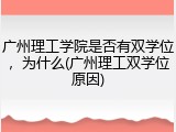 广州理工学院是否有双学位，为什么(广州理工双学位原因)