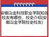 安徽冶金科技职业学院知名校友有哪些，校史介绍(安徽冶金学院校史校友)
