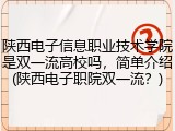 陕西电子信息职业技术学院是双一流高校吗，简单介绍(陕西电子职院双一流？)