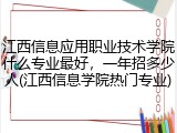 江西信息应用职业技术学院什么专业最好，一年招多少人(江西信息学院热门专业)