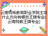 云南特殊教育职业学院主攻什么方向有哪些王牌专业(云南特教王牌专业)