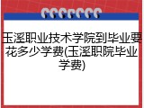 玉溪职业技术学院到毕业要花多少学费(玉溪职院毕业学费)