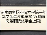 湖南商务职业技术学院一年奖学金最多能拿多少(湖南商务职院奖学金上限)