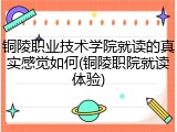 铜陵职业技术学院就读的真实感觉如何(铜陵职院就读体验)
