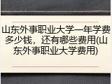 山东外事职业大学一年学费多少钱，还有哪些费用(山东外事职业大学费用)