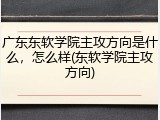 广东东软学院主攻方向是什么，怎么样(东软学院主攻方向)