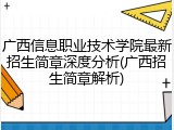 广西信息职业技术学院最新招生简章深度分析(广西招生简章解析)