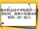 衡水职业技术学院是双一流高校吗，简单介绍(衡水职院双一流？简介)