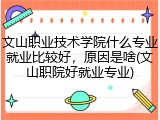 文山职业技术学院什么专业就业比较好，原因是啥(文山职院好就业专业)