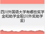 四川外国语大学有哪些奖学金和助学金呢(川外奖助学金)