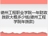 德州工程职业学院一年财政拨款大概多少钱(德州工程学院年拨款)